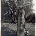 Pedra Fita, Botarell, fot S Vilaseca 1921, public 1973.jpg